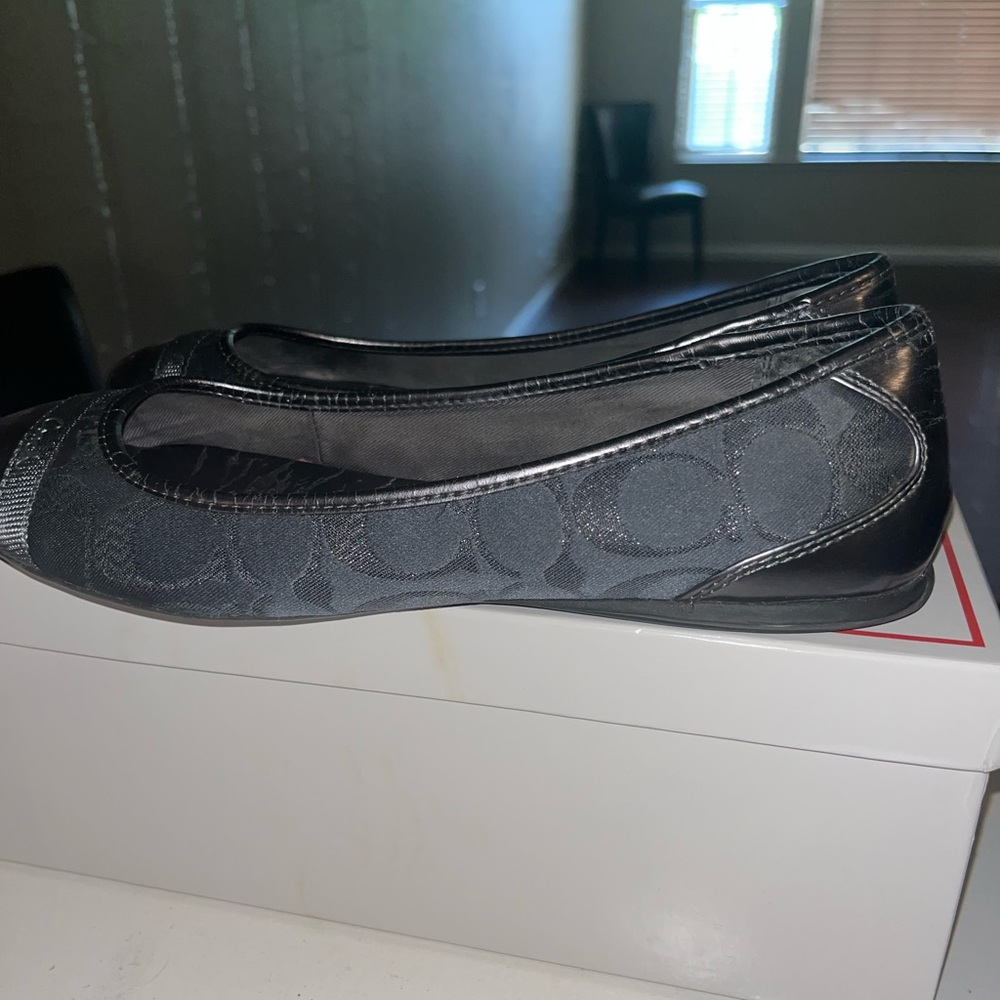 Silver Coach Flats
